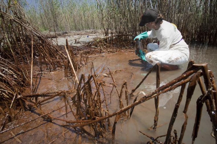 Image: Greenpeace staff member takes sample of water in heavily oiled marsh near South Pass