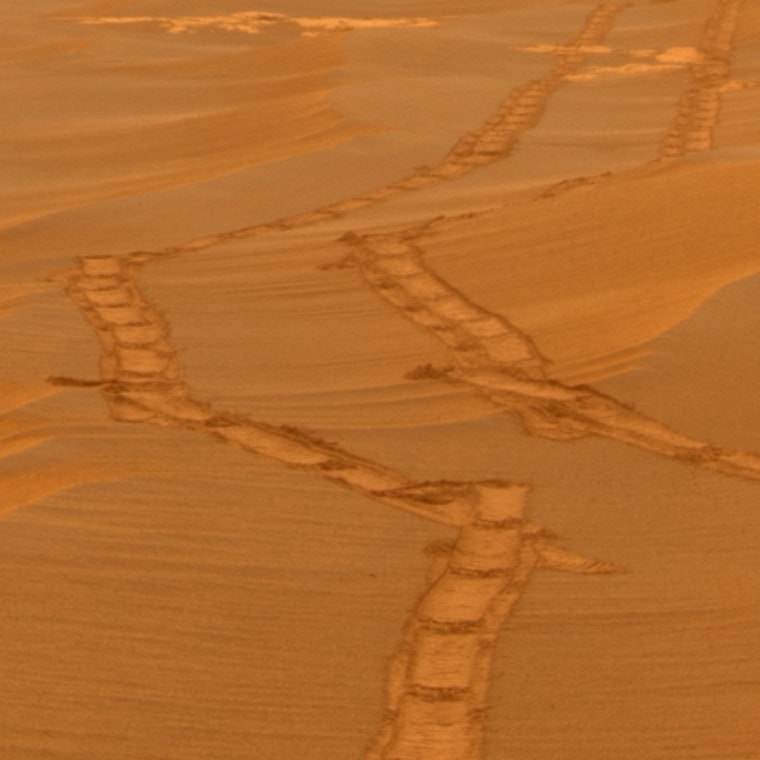 Image: Rover tracks