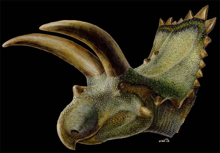 Image: Coahuilaceratops