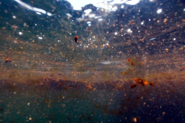 Image: Patches of oil from the Deepwater Horizon spill are seen from an underwater vantage, Monday, June 7