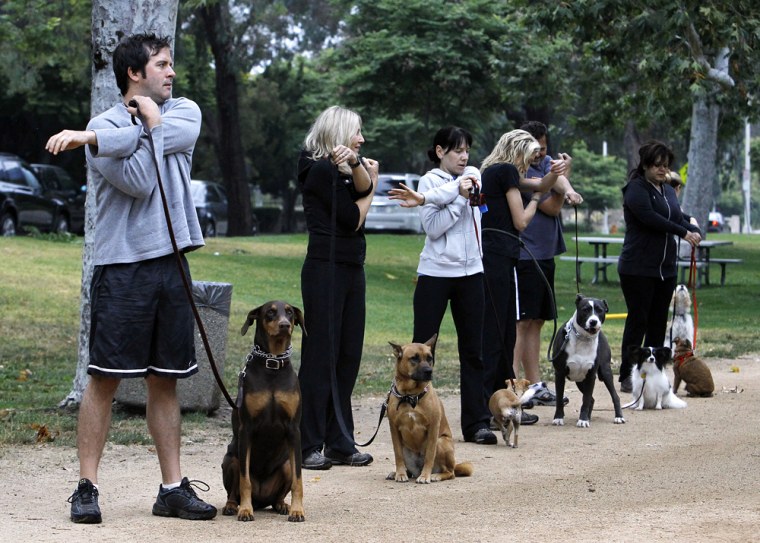 Image: Owners and their dogs work out during the Thank Dog! Bootcamp fitness class