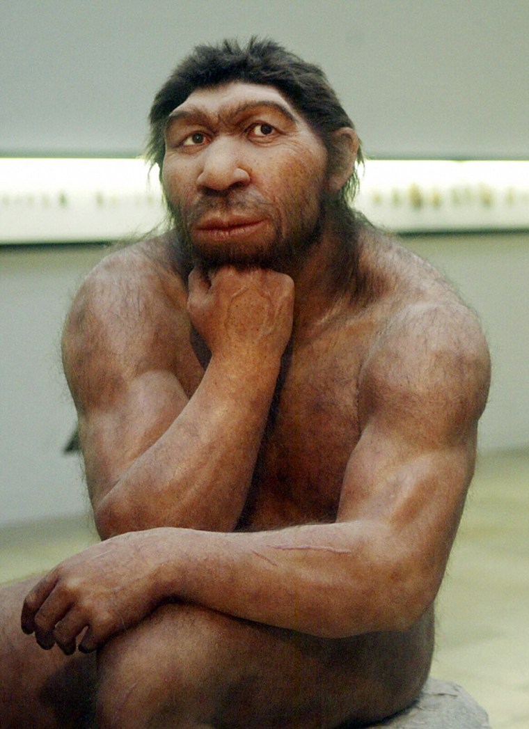 Image: Neanderthal man reconstruction