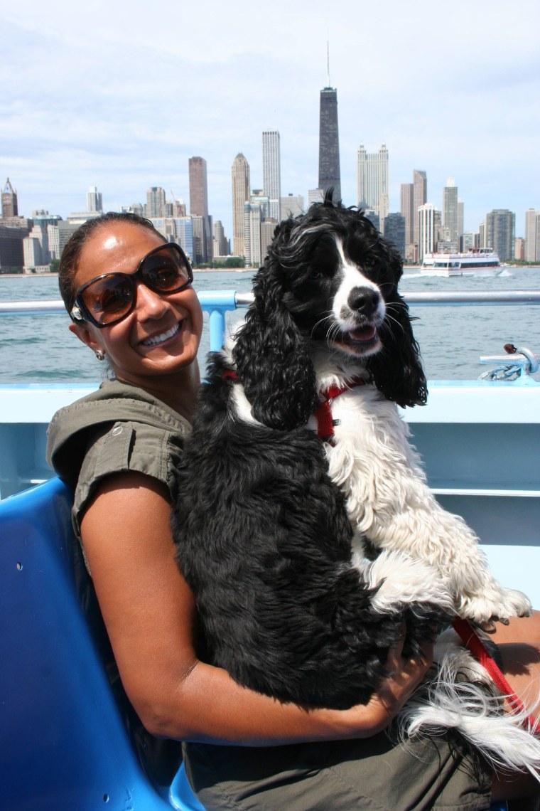 Image: Taking the dog on a sight-seeing cruise