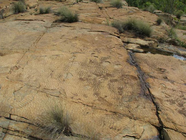 Billion-year-old rocks reveal traces of ancient life