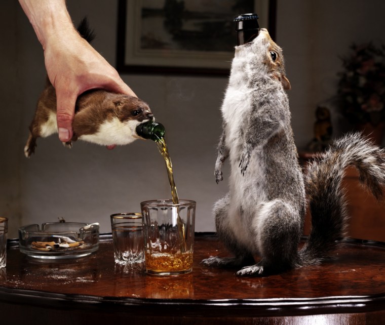 Image: Beer bottled in stuffed animals