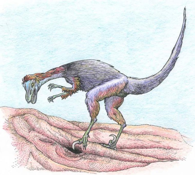 Scientists didn't have bones of the dinosaur, but from fossilized claw marks found, here's what they think the raptor relative may have looked like when alive and digging for its mammalian prey.  