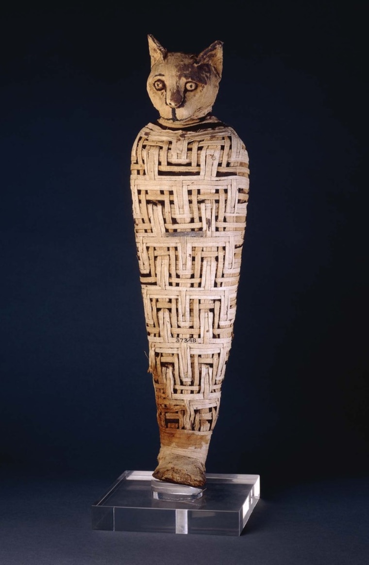 Музыка древнего египта для кошек. Мумии кошек в древнем Египте. Мумифицированная кошка древний Египет.