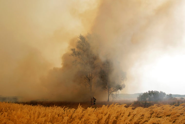 Image: Firefighters attempt to extinguish a wildfire outside the settlement of Kustarevka in Russia
