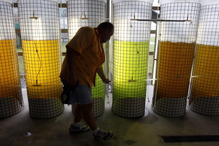 Image: John Supan inspecting algae growing tanks
