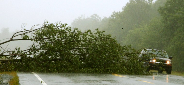 Image: A vehicle navigates around a downed tree on highway 103 near Shelburne, Nova Scotia