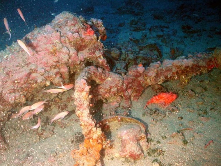 Image: Cannon from shipwreck