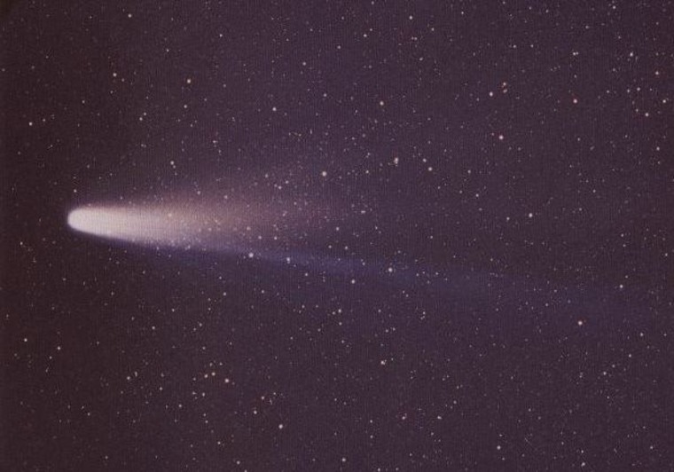 This view of Comet Halley was captured on March 8, 1966, by W. Liller on Easter Island for the International Halley Watch Large Scale Phenomena Network.