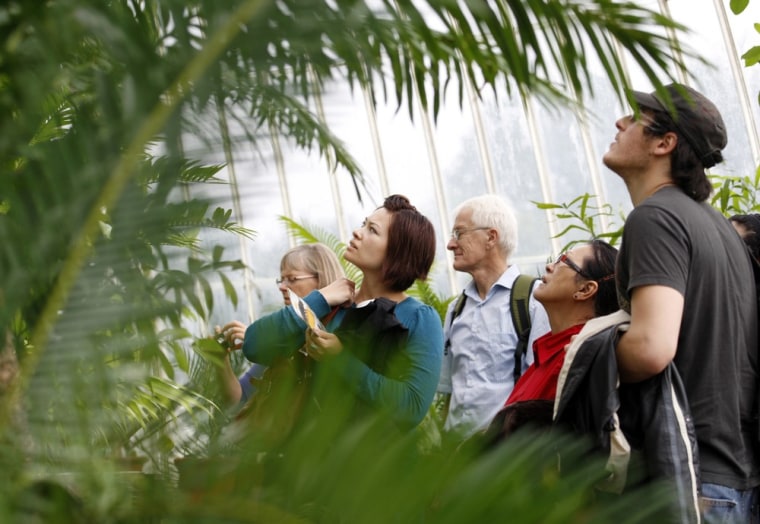 Image:  Visitors view a collection of cycads in a greenhouse at Kew Gardens in Kew Gardens, in London