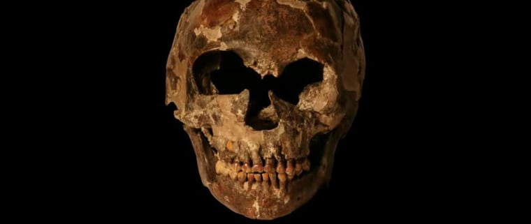 Image: Fossilized skull of a 90,000- to 100,000-year-old Homo sapiens child.