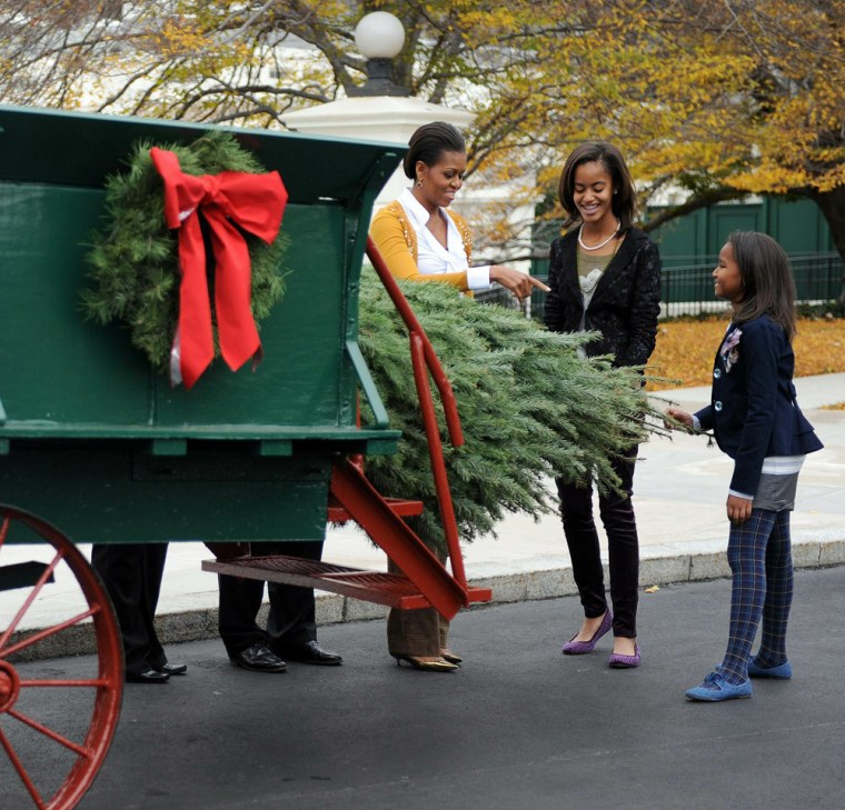 Image: White House Christmas Tree