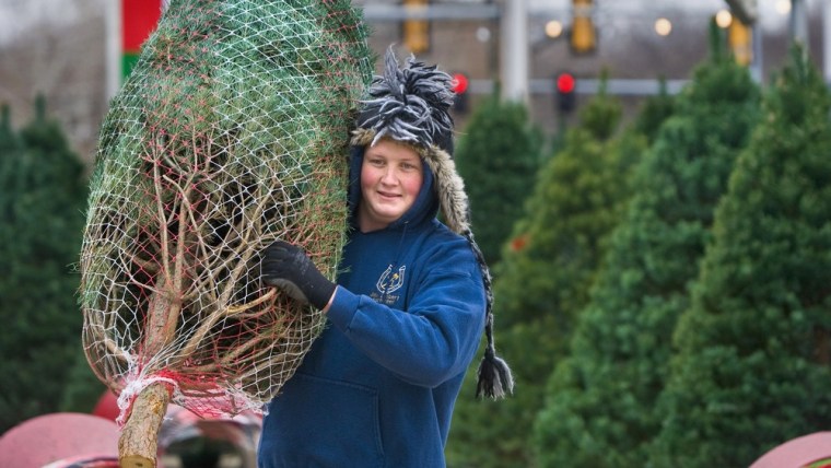 How to find the best Christmas tree prices
