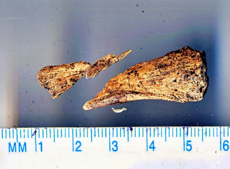 Image: Bone fragment