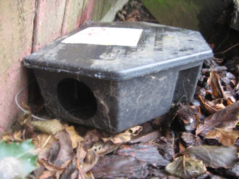 Image: Rat poison bait stations like this one that are designed to keep out children and dogs