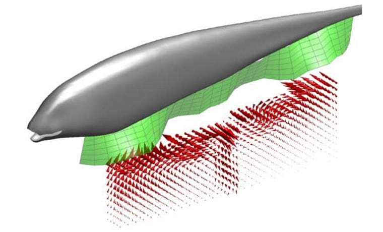Image: Computer simulation of knifefish