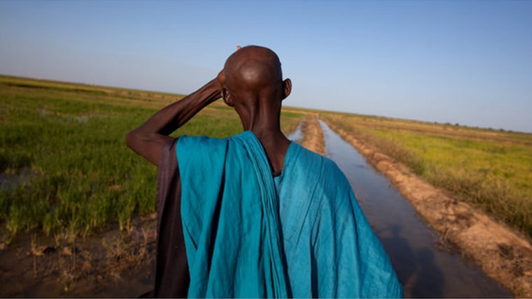Image: Farmer in Mali