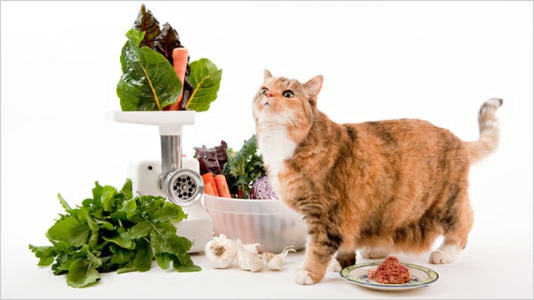 Image: Cat and vegetables