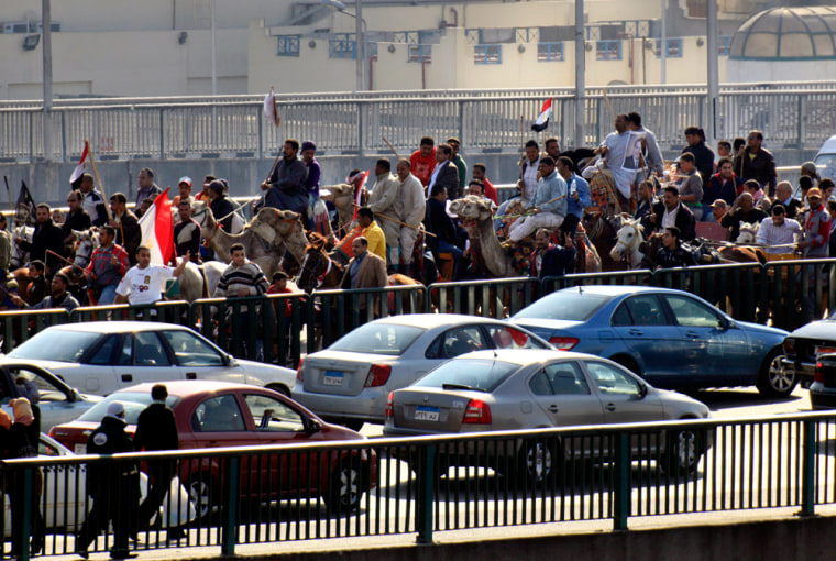 Image: Supporters of President Hosni Mubarak, some riding camels, march  in Cairo