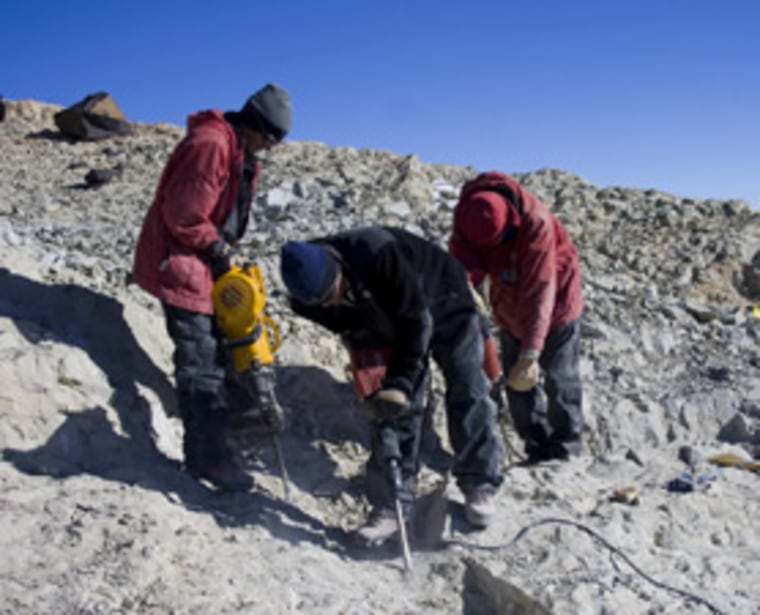 Paleontologists dig out fossils on Mount Kirkpatrick in the Central Trans-Antarctic Mountains. Scientists have at most a three-month window to work there each year before  winter sets in. 