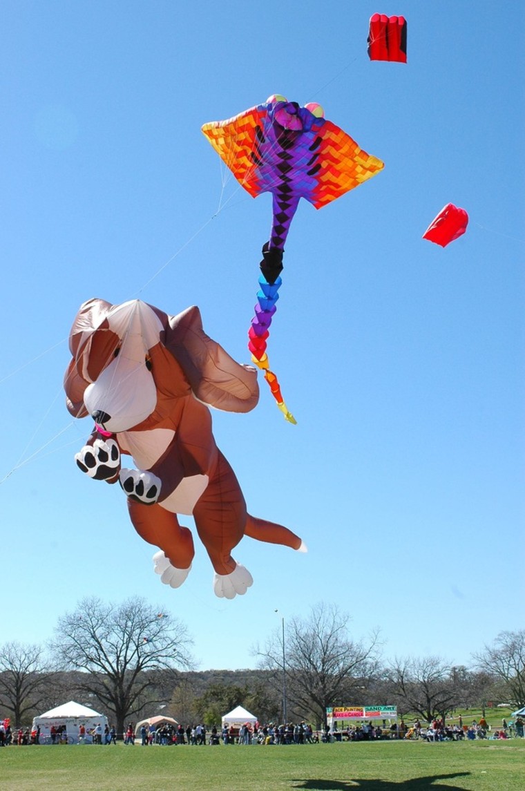 Go fly a kite! Austin festival embraces that idea
