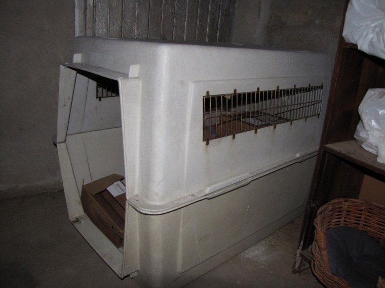 A photo of a dog crate alleged to have been used by Kathlyn Anthony