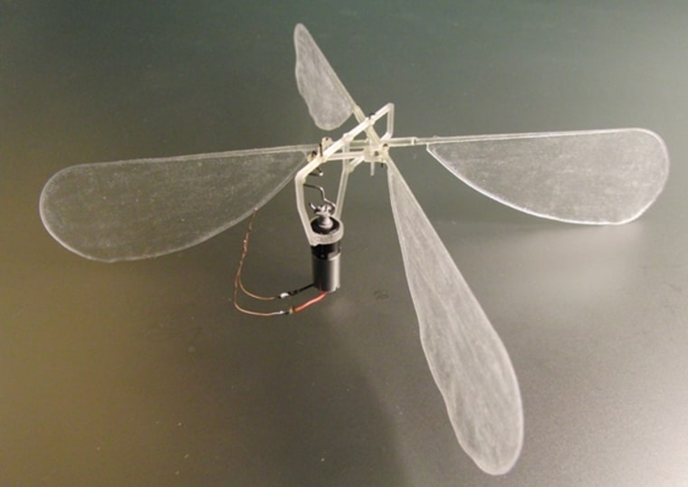 Using 3-D printers, scientists can readily experiment with wings mimicking those of real insects or virtually any other shape to learn more about this complex form of flight. Such research could lead to flying micro-robots for espionage, search-and-rescue operations and other missions. 