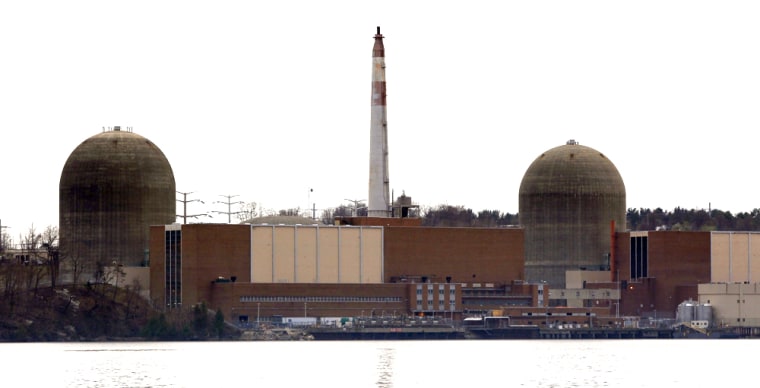 Image: File picture shows a view of the Indian Point nuclear power plant in Buchanan