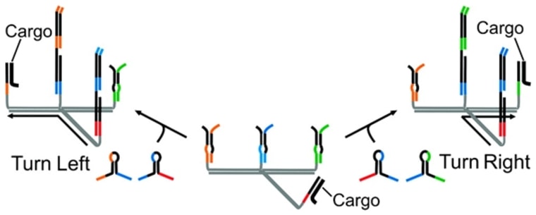 This is an illustration of a programmable "molecular robot" made of synthetic DNA that can move among different branches of a molecular track while carrying cargo.
