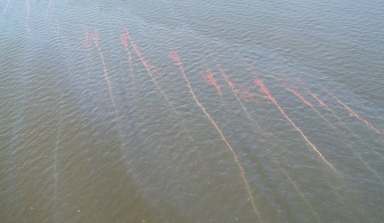 This sheen was visible near Elmers Island, La., on Sunday.