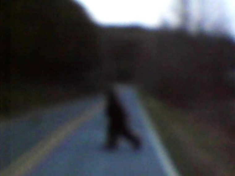 Image: Reported sighting of Bigfoot