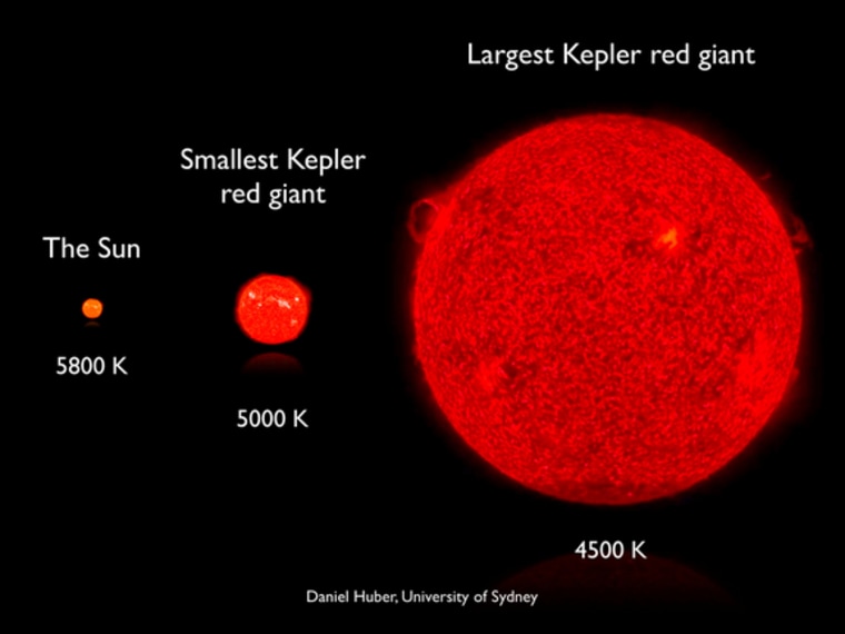 Sizes of red giant stars compared with the sun. Using the Kepler telescope, we have detected oscillations in hundreds of red giant stars. The periods of those oscillations allowed us to study the interiors of these giant stars, which represent the future life of our sun. 