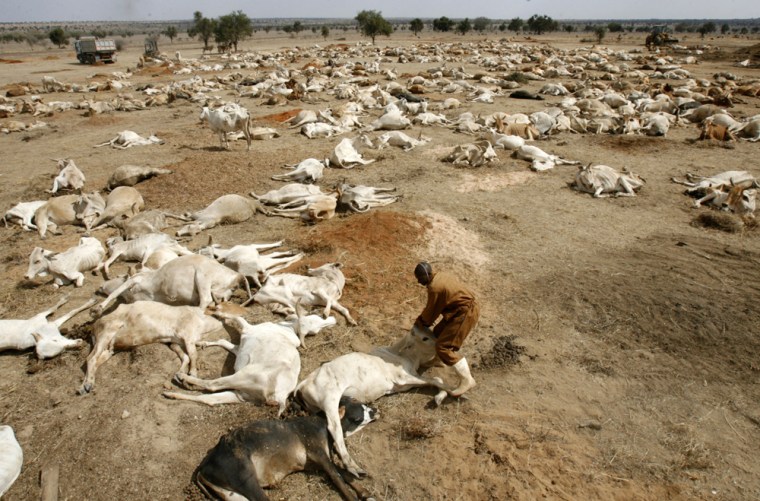 Image: A draught-stricken region in Kenya