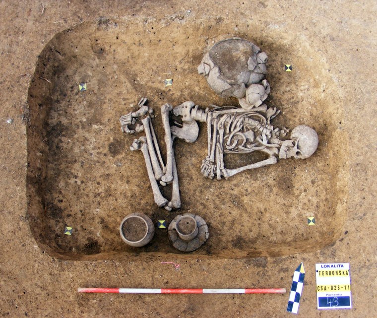 The skeleton of a Stone-Age man, dating back to about 2,500 to 2,800 B.C., found on the outskirts of Prague.