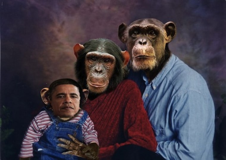 An image sent in an email by Marilyn Davenport, an elected Orange County Republican Party official and Tea Party activist, depicting President Barack Obama as a chimpanzee.
