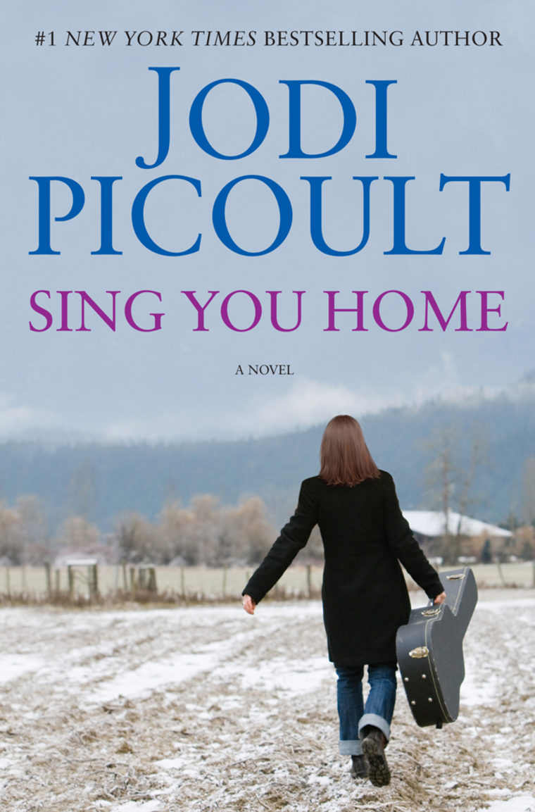 Image: Sing You Home book cover