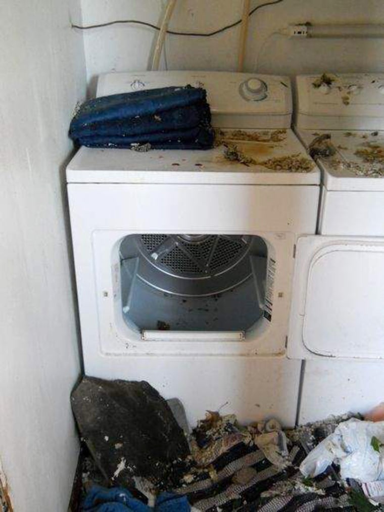 Image: The dryer in which Austin Miller, 11, hid to protect himself from a tornado.