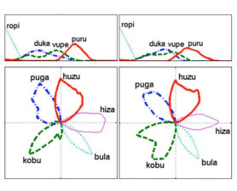 The robots agreed on certain words for direction and distance concepts. For example, “vupe hiza” would mean a medium long distance to the east. 