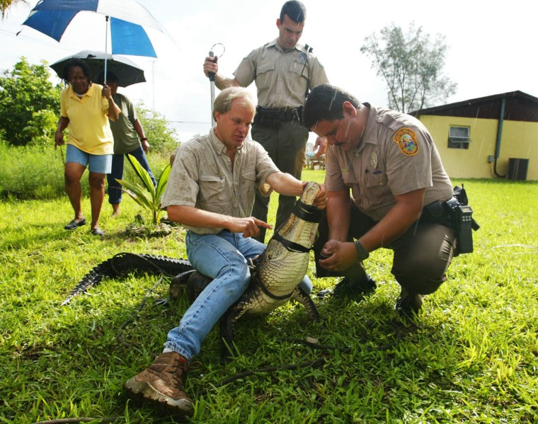 Image: Alligator Trapper in Miami