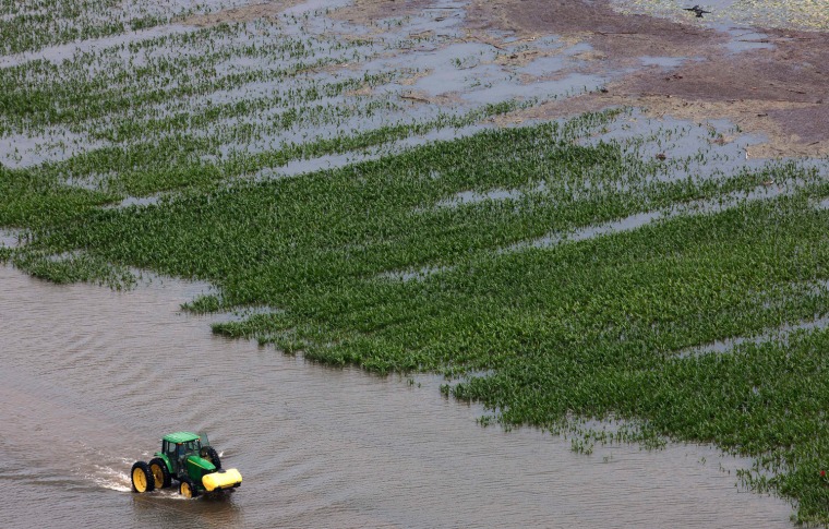 Image: A farmer drives his tractor past a flooded field of corn near Yazoo City, Miss. on Saturday.