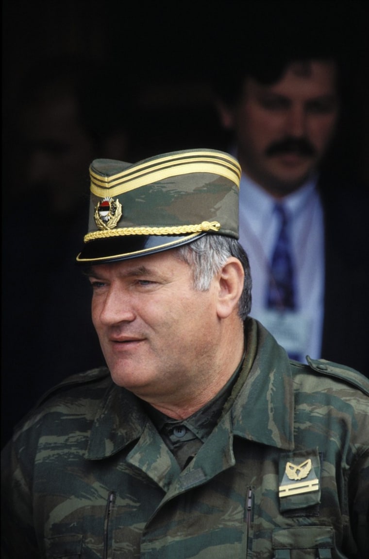 Image: Ratko Mladic in 1993.