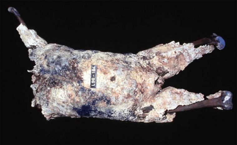 A man's torso found floating in a lake, believed uncovered after 300 years by the shaking of a series of earthquakes, was covered in a whitish, cement-like cocoon dusted with a blue mineral deposit. 