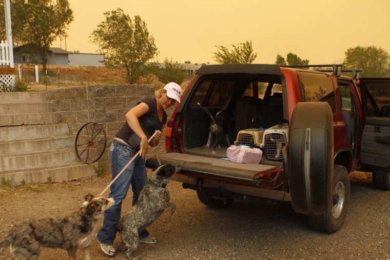 Image: Misty Pate loads her dogs Abby and Roani along with her other pets in her truck as she prepares to evacuate Wallow Wildfire as smoke fills the sky in Springerville