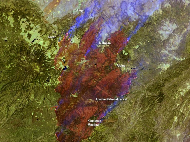 The burned area from Arizona's massive wildfire is seen in this satellite-based image.