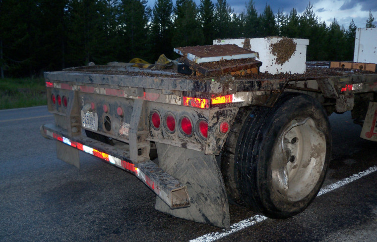 Image: Truck spills millions of bees on Idaho highway.