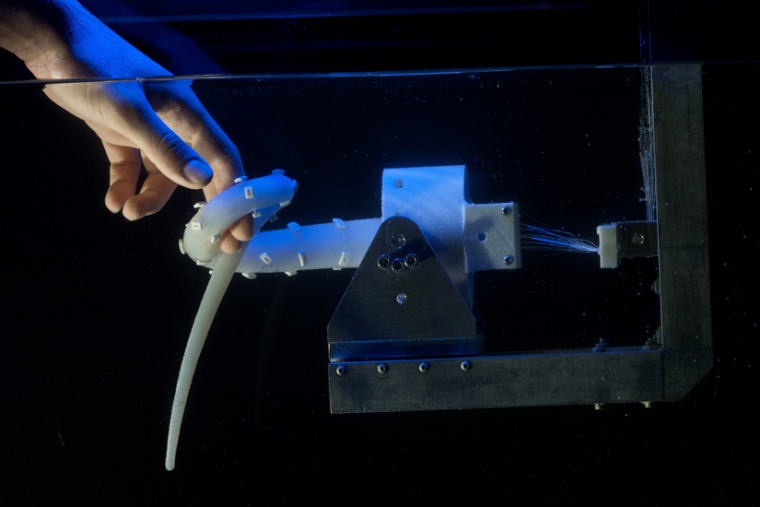 The robotic prototype is about 17 inches long and modeled after a real octopus that inhabits the Mediterranean.