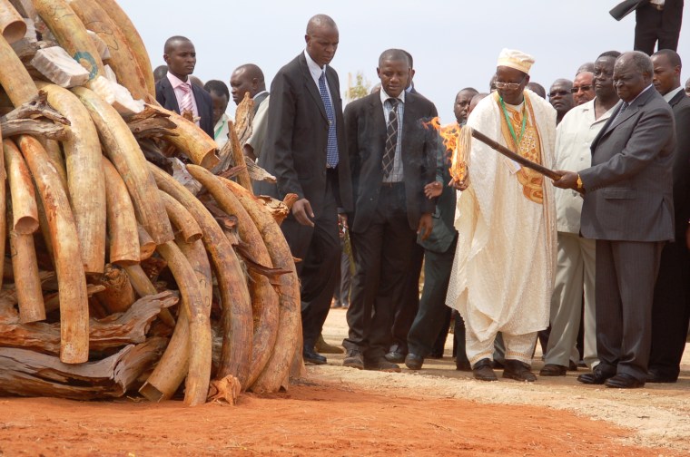 Image: Kenya president burns ivory